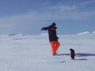 penguin prank (6 sec)