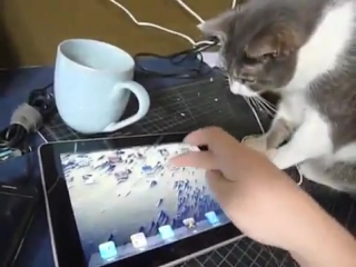 kote and ipad